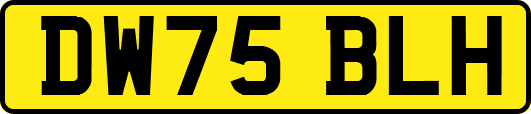 DW75BLH
