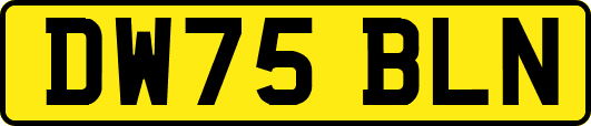 DW75BLN