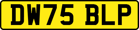 DW75BLP