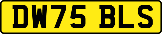 DW75BLS
