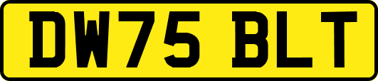 DW75BLT