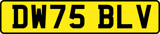 DW75BLV