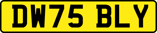 DW75BLY