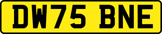 DW75BNE
