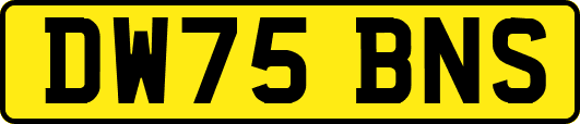 DW75BNS