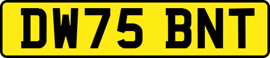 DW75BNT