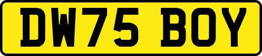DW75BOY