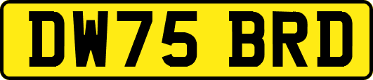 DW75BRD
