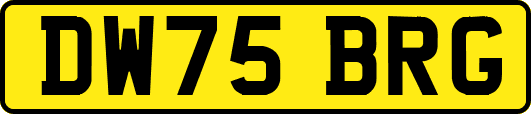 DW75BRG
