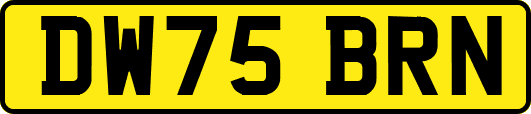 DW75BRN