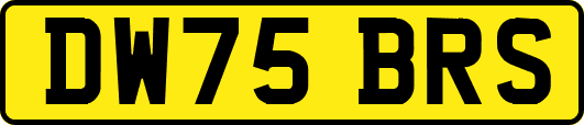 DW75BRS