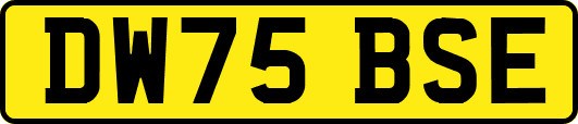 DW75BSE