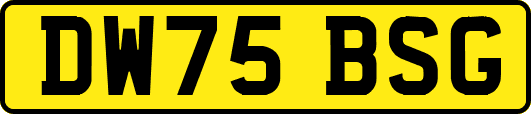 DW75BSG