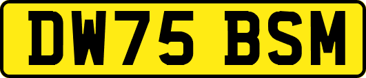 DW75BSM