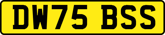 DW75BSS