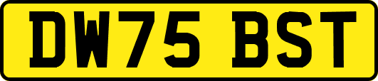DW75BST