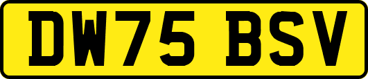 DW75BSV