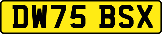 DW75BSX
