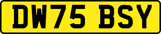 DW75BSY
