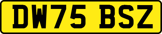 DW75BSZ