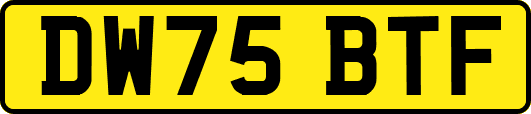 DW75BTF