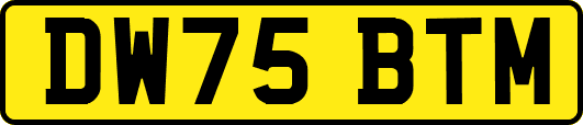 DW75BTM