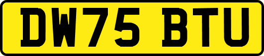 DW75BTU