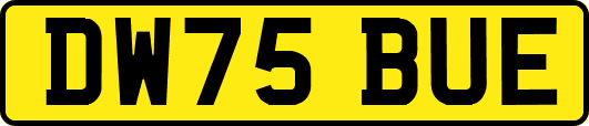 DW75BUE