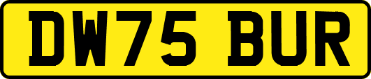 DW75BUR
