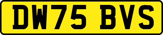DW75BVS