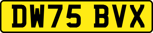 DW75BVX