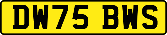 DW75BWS