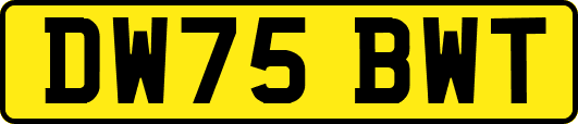 DW75BWT