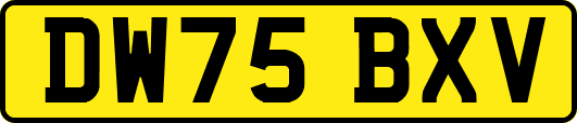 DW75BXV