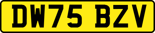 DW75BZV