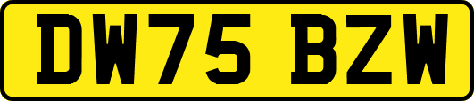DW75BZW