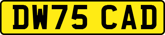 DW75CAD