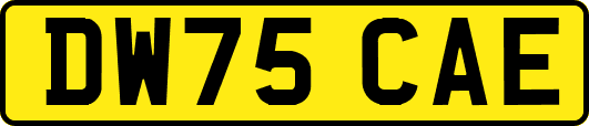 DW75CAE