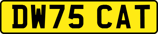 DW75CAT