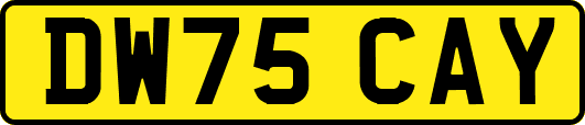 DW75CAY