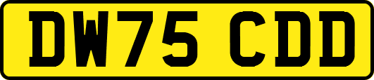 DW75CDD