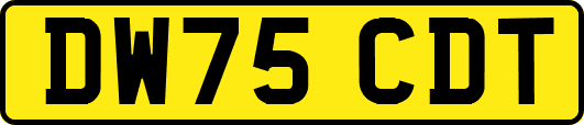 DW75CDT