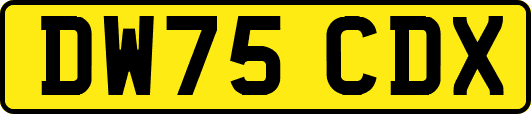 DW75CDX