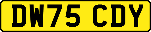 DW75CDY