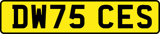 DW75CES