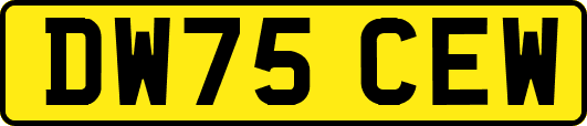 DW75CEW