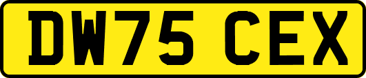 DW75CEX
