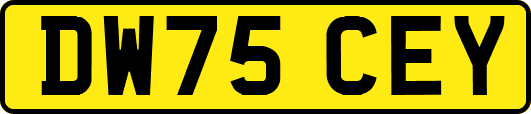DW75CEY