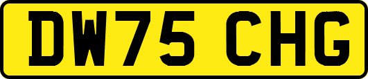 DW75CHG