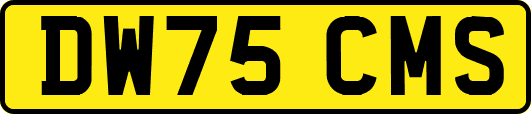 DW75CMS